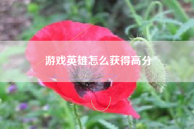 游戏英雄怎么获得高分
