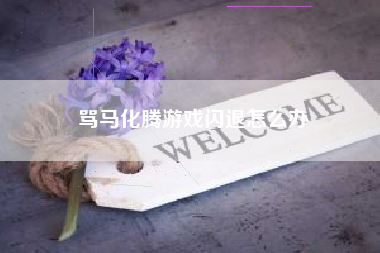 骂马化腾游戏闪退怎么办