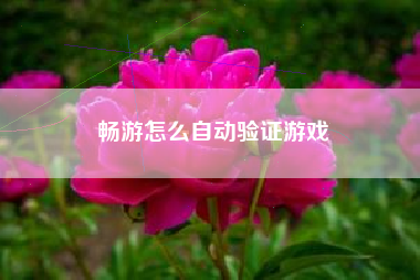 畅游怎么自动验证游戏