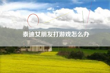泰迪女朋友打游戏怎么办