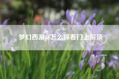 梦幻西游SF怎么踩着门上房顶