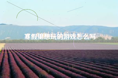 寒假里想玩的游戏怎么写