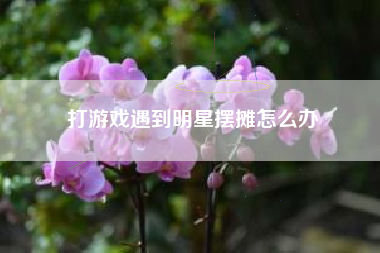 打游戏遇到明星摆摊怎么办