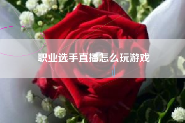 职业选手直播怎么玩游戏