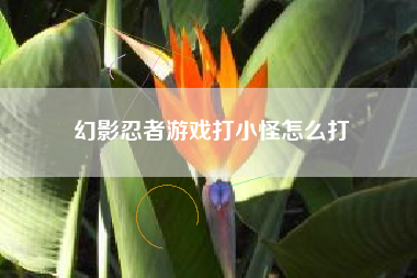 幻影忍者游戏打小怪怎么打