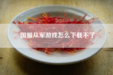 国服从军游戏怎么下载不了