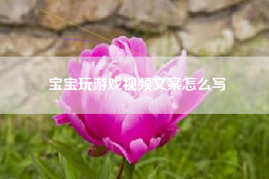 宝宝玩游戏视频文案怎么写