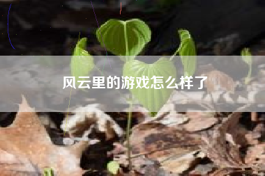 风云里的游戏怎么样了
