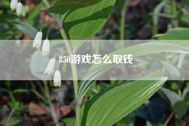 850游戏怎么取钱