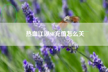 热血江湖SF充值怎么关