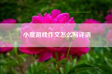 小度游戏作文怎么写评语