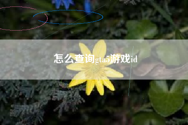 怎么查询gta5游戏id
