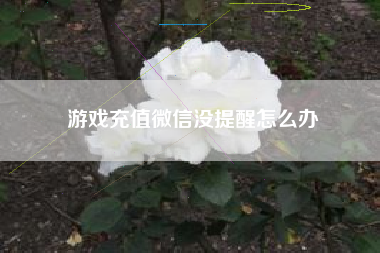 游戏充值微信没提醒怎么办