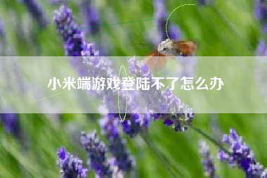 小米端游戏登陆不了怎么办