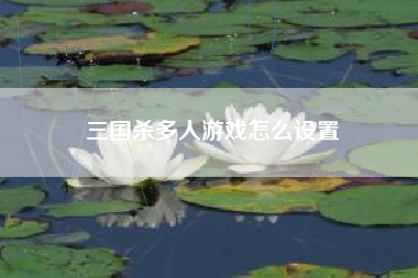 三国杀多人游戏怎么设置