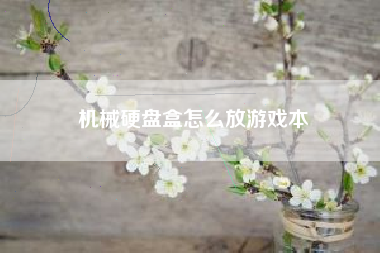 机械硬盘盒怎么放游戏本