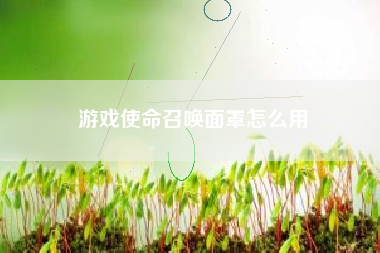 游戏使命召唤面罩怎么用