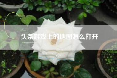 头条游戏上的地图怎么打开