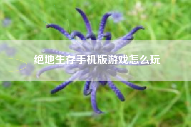 绝地生存手机版游戏怎么玩