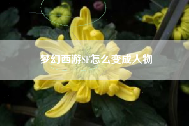 梦幻西游SF怎么变成人物