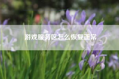 游戏服务区怎么恢复正常