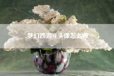 梦幻西游SF头像怎么改