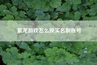 紫龙游戏怎么换实名制账号