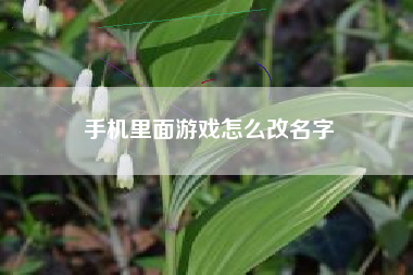 手机里面游戏怎么改名字