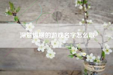 深意纵横的游戏名字怎么取