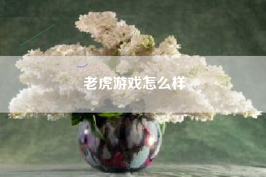 老虎游戏怎么样