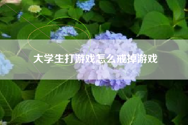 大学生打游戏怎么戒掉游戏