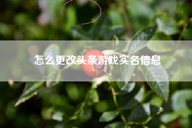 怎么更改头条游戏实名信息