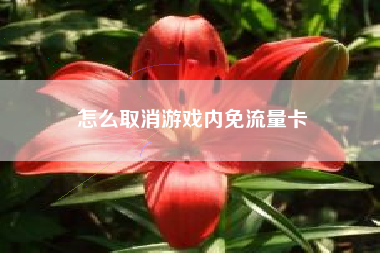 怎么取消游戏内免流量卡
