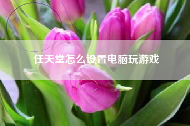 任天堂怎么设置电脑玩游戏