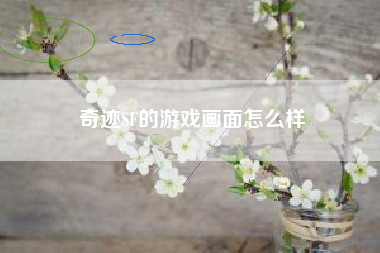 奇迹SF的游戏画面怎么样