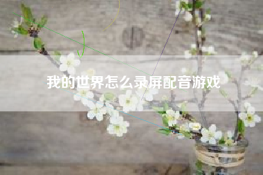 我的世界怎么录屏配音游戏