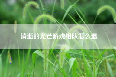 消逝的光芒游戏组队怎么退