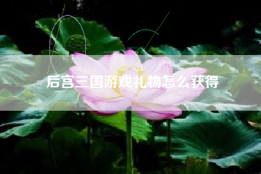 后宫三国游戏礼物怎么获得