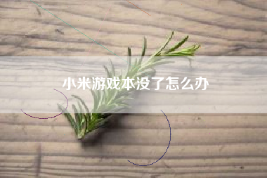 小米游戏本没了怎么办