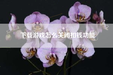 下载游戏怎么关闭扣钱功能