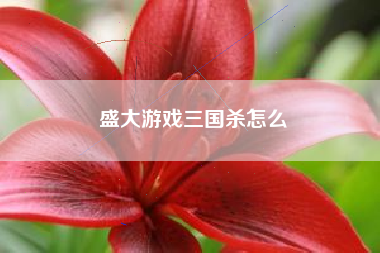 盛大游戏三国杀怎么