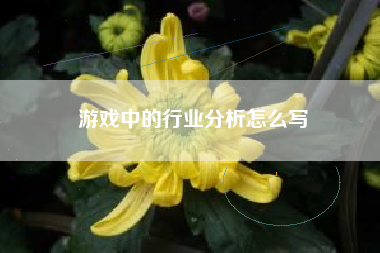 游戏中的行业分析怎么写