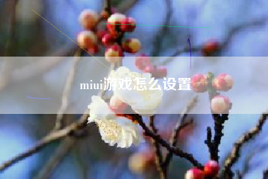 miui游戏怎么设置
