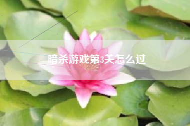 暗杀游戏第3关怎么过
