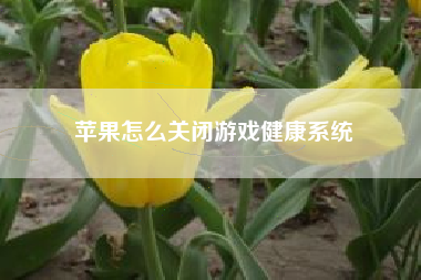 苹果怎么关闭游戏健康系统