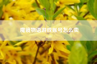 魔镜物语游戏账号怎么卖