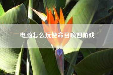 电脑怎么玩使命召唤四游戏
