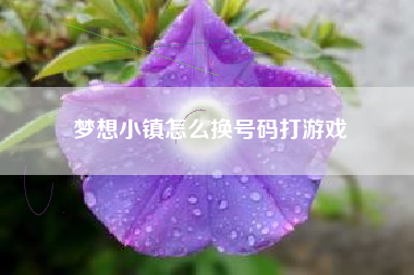 梦想小镇怎么换号码打游戏