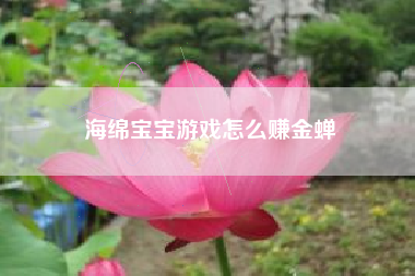 海绵宝宝游戏怎么赚金蝉