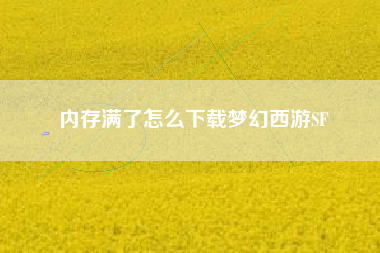内存满了怎么下载梦幻西游SF